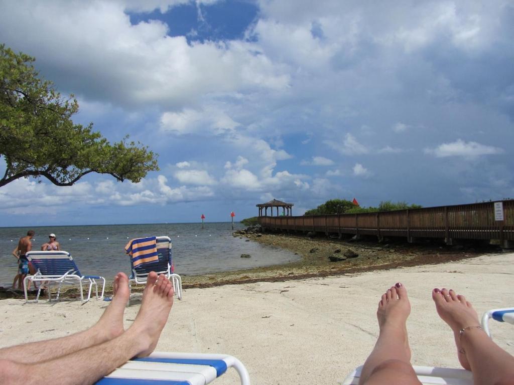 Tropical Daze Oceanfront Paradise Tavernier Ngoại thất bức ảnh