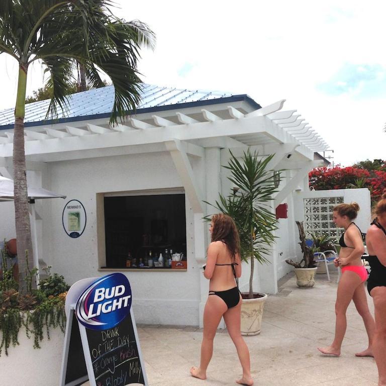 Tropical Daze Oceanfront Paradise Tavernier Ngoại thất bức ảnh