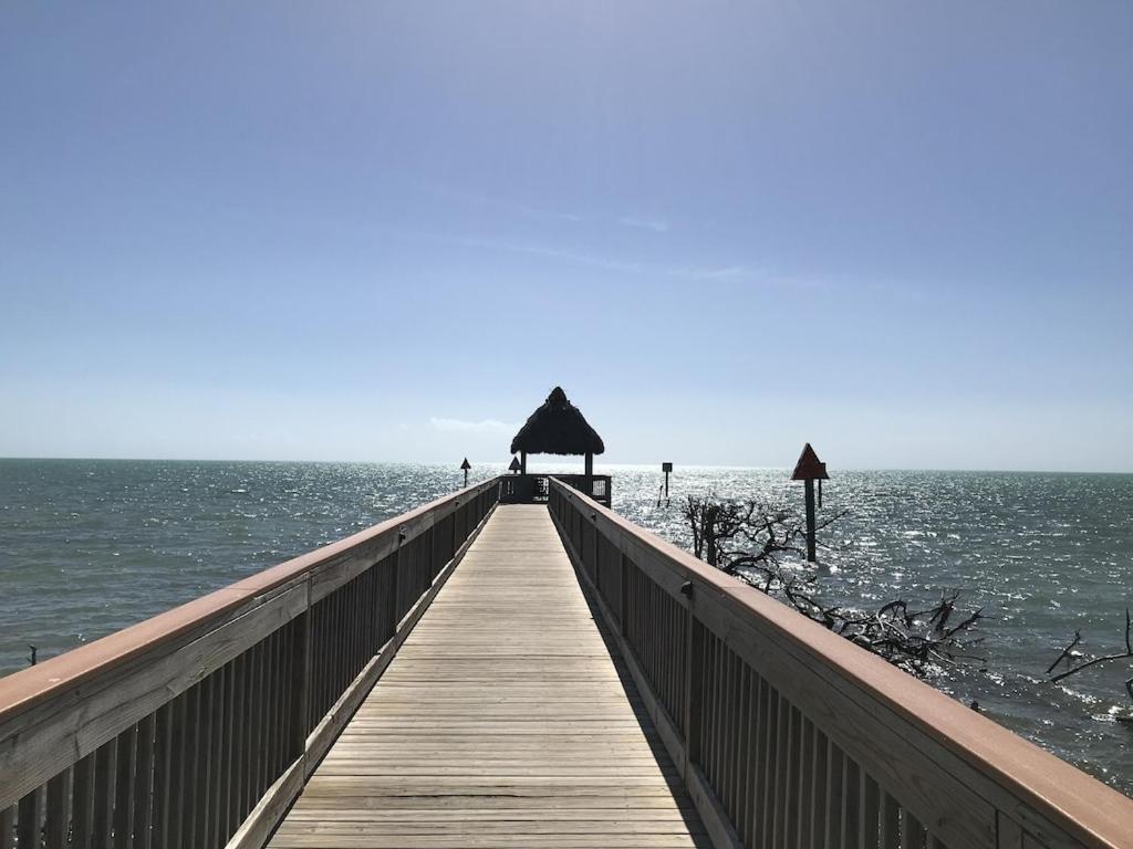 Tropical Daze Oceanfront Paradise Tavernier Ngoại thất bức ảnh