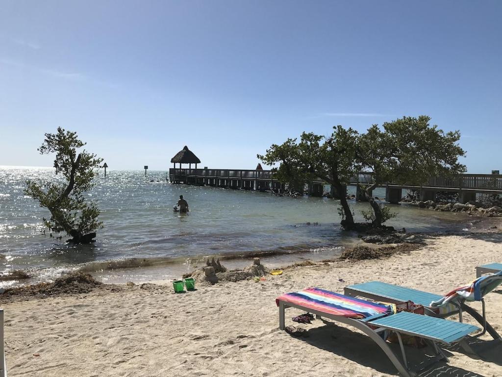 Tropical Daze Oceanfront Paradise Tavernier Ngoại thất bức ảnh